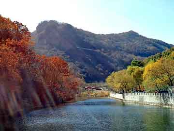 日韩美女在线激情影院，命中注定我爱你小说